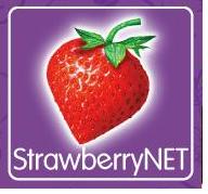 strawberrynet אתר לרכישת מוצרי איפור אונליין