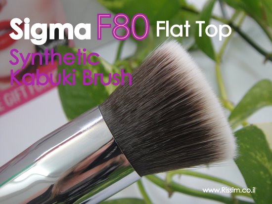Sigma F80 Brush