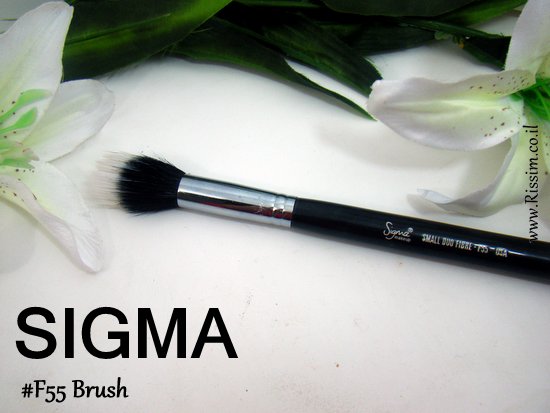SIGMA F55 brush